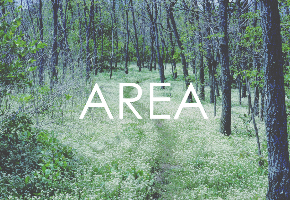 gallery/forest-1622700