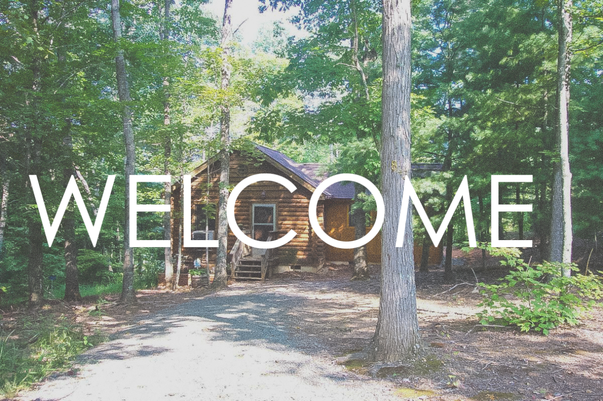 gallery/00s0s_ficlsenienc_1200x900