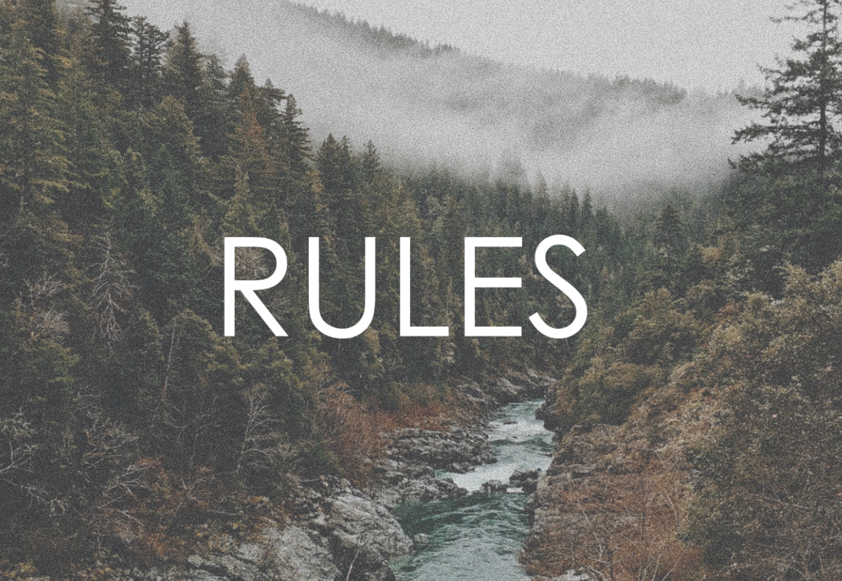 gallery/maxpixel.freegreatpicture.com-wild-forest-wilderness-trees-stream-landscape-1246219